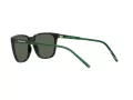 Arnette Cortex AN 4291 27539A 57 Férfi napszemüveg