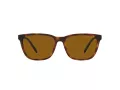 Arnette Cortex AN 4291 277083 57 Férfi napszemüveg