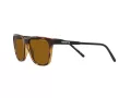 Arnette Cortex AN 4291 277083 57 Férfi napszemüveg