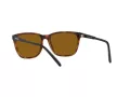 Arnette Cortex AN 4291 277083 57 Férfi napszemüveg