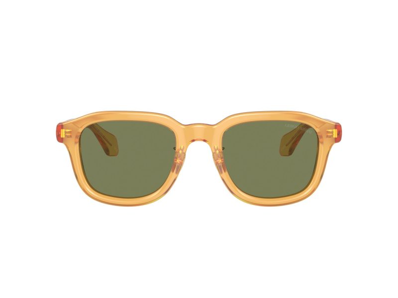 Giorgio Armani AR 8206 60632A 51 Férfi napszemüveg