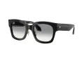 Giorgio Armani AR 8223 500111 51 Női napszemüveg