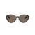 Giorgio Armani AR 8237 623573 53 Női napszemüveg