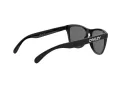 Oakley Frogskins OO 9013 24-306 55 Férfi, Női napszemüveg