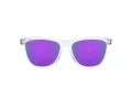 Oakley Frogskins OO 9013 H7 55 Férfi napszemüveg