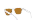 Oakley Frogskins OO 9013 H7 55 Férfi napszemüveg