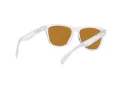 Oakley Frogskins OO 9013 H7 55 Férfi napszemüveg