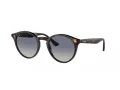 Ray-Ban RB 2180 710/4L 50 Férfi, Női napszemüveg
