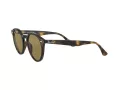 Ray-Ban RB 2180 710/73 50 Férfi, Női napszemüveg