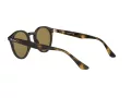 Ray-Ban RB 2180 710/73 50 Férfi, Női napszemüveg