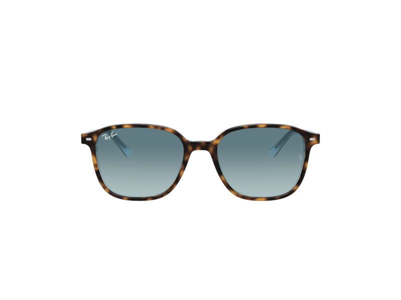 Ray-Ban Leonard RB 2193 1316/3M 51 Férfi, Női napszemüveg