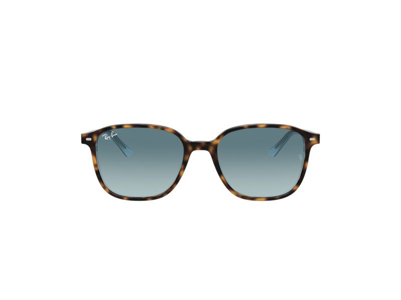 Ray-Ban Leonard RB 2193 1316/3M 53 Férfi, Női napszemüveg