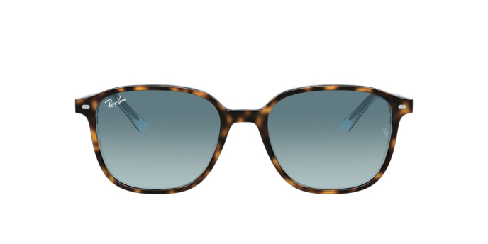 Ray-Ban Leonard RB 2193 1316/3M 53 Férfi, Női napszemüveg akciós termékkép 1