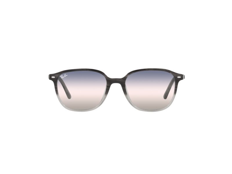 Ray-Ban Leonard RB 2193 1326/GE 51 Férfi, Női napszemüveg