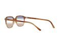 Ray-Ban Leonard RB 2193 1328GD 51 Férfi, Női napszemüveg