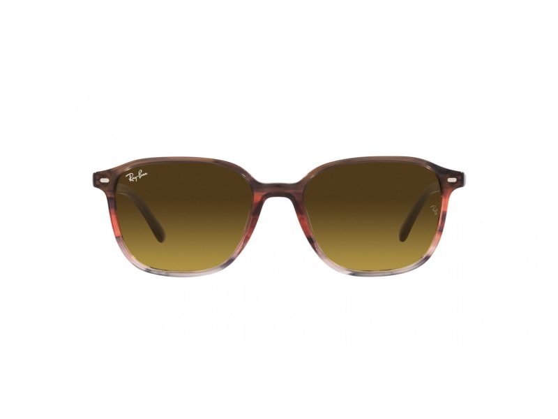 Ray-Ban Leonard RB 2193 138085 51 Férfi, Női napszemüveg