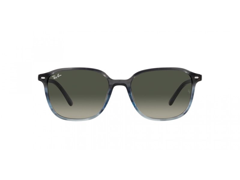 Ray-Ban Leonard RB 2193 138171 53 Férfi, Női napszemüveg