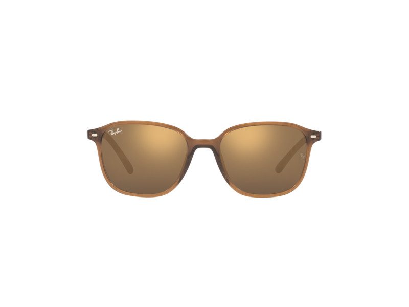 Ray-Ban Leonard RB 2193 6636/93 53 Férfi, Női napszemüveg