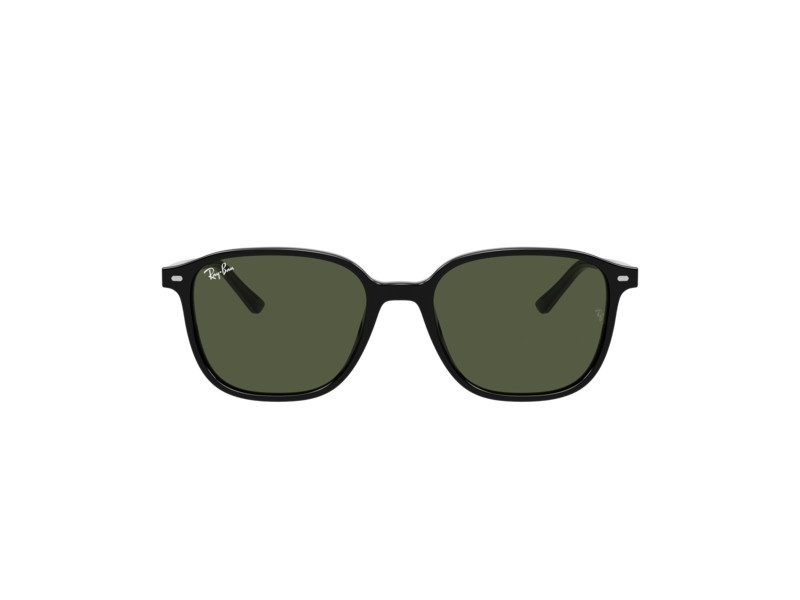 Ray-Ban Leonard RB 2193 901/31 51 Férfi, Női napszemüveg