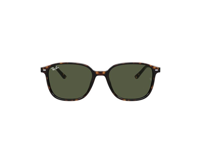 Ray-Ban Leonard RB 2193 902/31 51 Férfi, Női napszemüveg