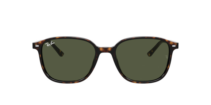  Ray-Ban Leonard RB 2193 902/31 51 Férfi, Női napszemüveg akciós termékkép 1