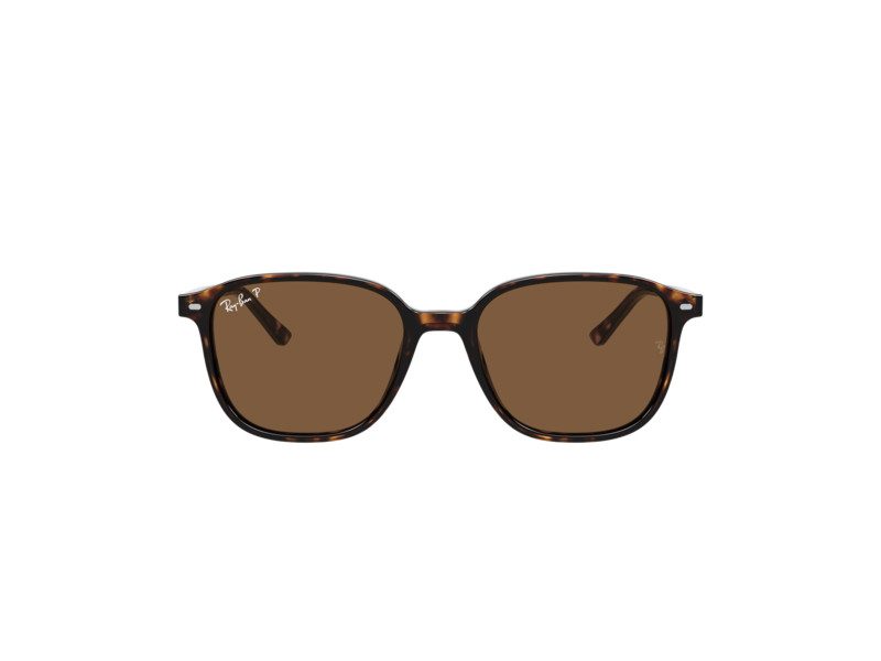 Ray-Ban Leonard RB 2193 902/57 51 Férfi, Női napszemüveg