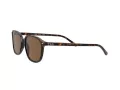Ray-Ban Leonard RB 2193 902/57 53 Férfi, Női napszemüveg