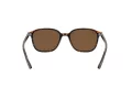 Ray-Ban Leonard RB 2193 902/57 53 Férfi, Női napszemüveg