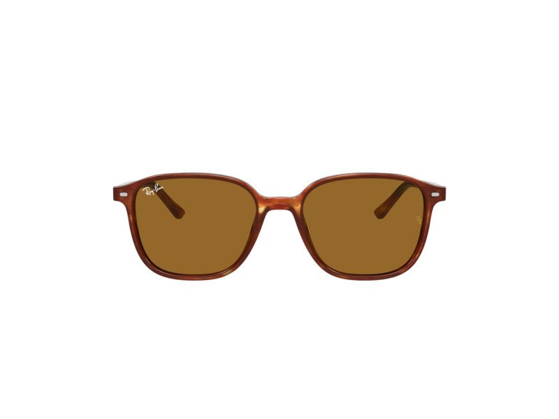 Ray-Ban Leonard RB 2193 954/33 53 Férfi, Női napszemüveg