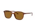 Ray-Ban Leonard RB 2193 954/33 53 Férfi, Női napszemüveg