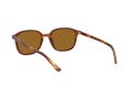 Ray-Ban Leonard RB 2193 954/33 53 Férfi, Női napszemüveg