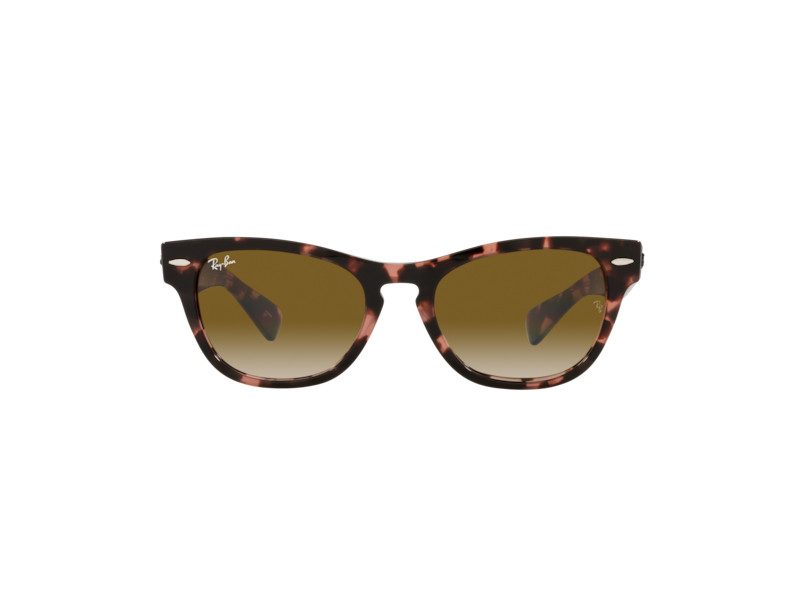Ray-Ban Laramie RB 2201 1334/51 54 Férfi, Női napszemüveg