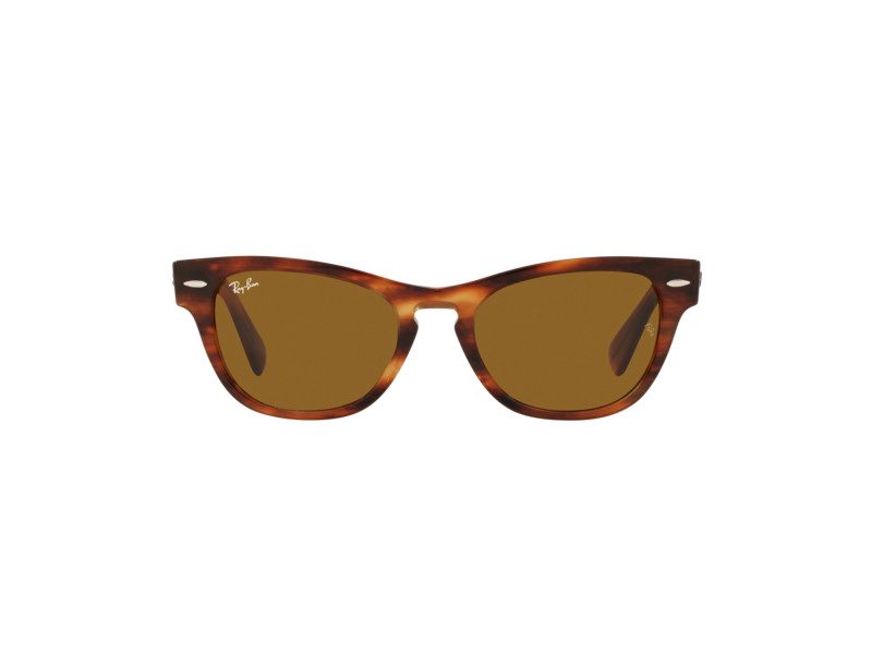 Ray-Ban Laramie RB 2201 954/33 54 Férfi, Női napszemüveg