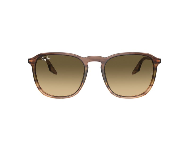 Ray-Ban RB 0RB2203 13920A 52 Férfi, Női napszemüveg