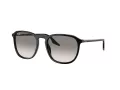 Ray-Ban RB 2203 901/32 52 Férfi, Női napszemüveg