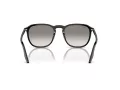 Ray-Ban RB 2203 901/32 55 Férfi, Női napszemüveg