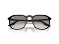 Ray-Ban RB 2203 901/32 55 Férfi, Női napszemüveg
