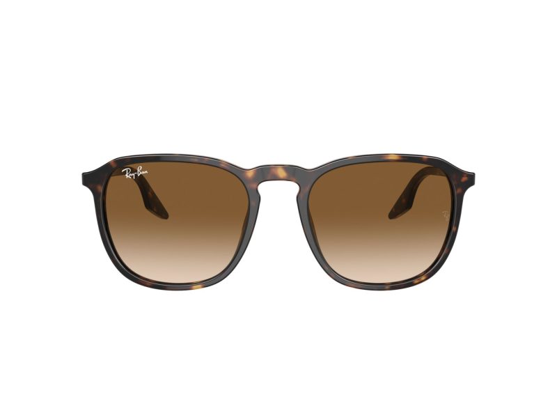 Ray-Ban RB 0RB2203 902/51 52 Férfi, Női napszemüveg