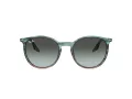 Ray-Ban RB 2204 1394GK 54 Férfi, Női napszemüveg