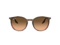 Ray-Ban RB 2204 13953B 51 Férfi, Női napszemüveg