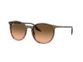 Ray-Ban RB 2204 13953B 51 Férfi, Női napszemüveg