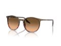 Ray-Ban RB 2204 13953B 51 Férfi, Női napszemüveg