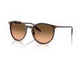 Ray-Ban RB 2204 14293B 51 Férfi, Női napszemüveg