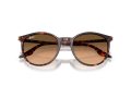 Ray-Ban RB 2204 14293B 51 Férfi, Női napszemüveg