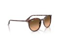 Ray-Ban RB 2204 14293B 51 Férfi, Női napszemüveg
