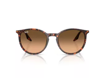 Ray-Ban RB 2204 14293B 54 Férfi, Női napszemüveg