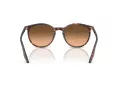 Ray-Ban RB 2204 14293B 54 Férfi, Női napszemüveg