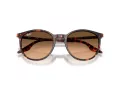 Ray-Ban RB 2204 14293B 54 Férfi, Női napszemüveg