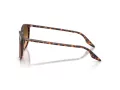 Ray-Ban RB 2204 14293B 54 Férfi, Női napszemüveg