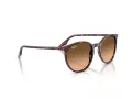Ray-Ban RB 2204 14293B 54 Férfi, Női napszemüveg
